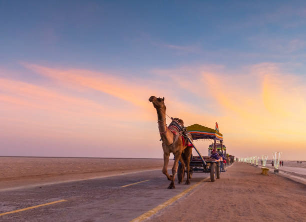 Kutch Adventure - Rann Utsav