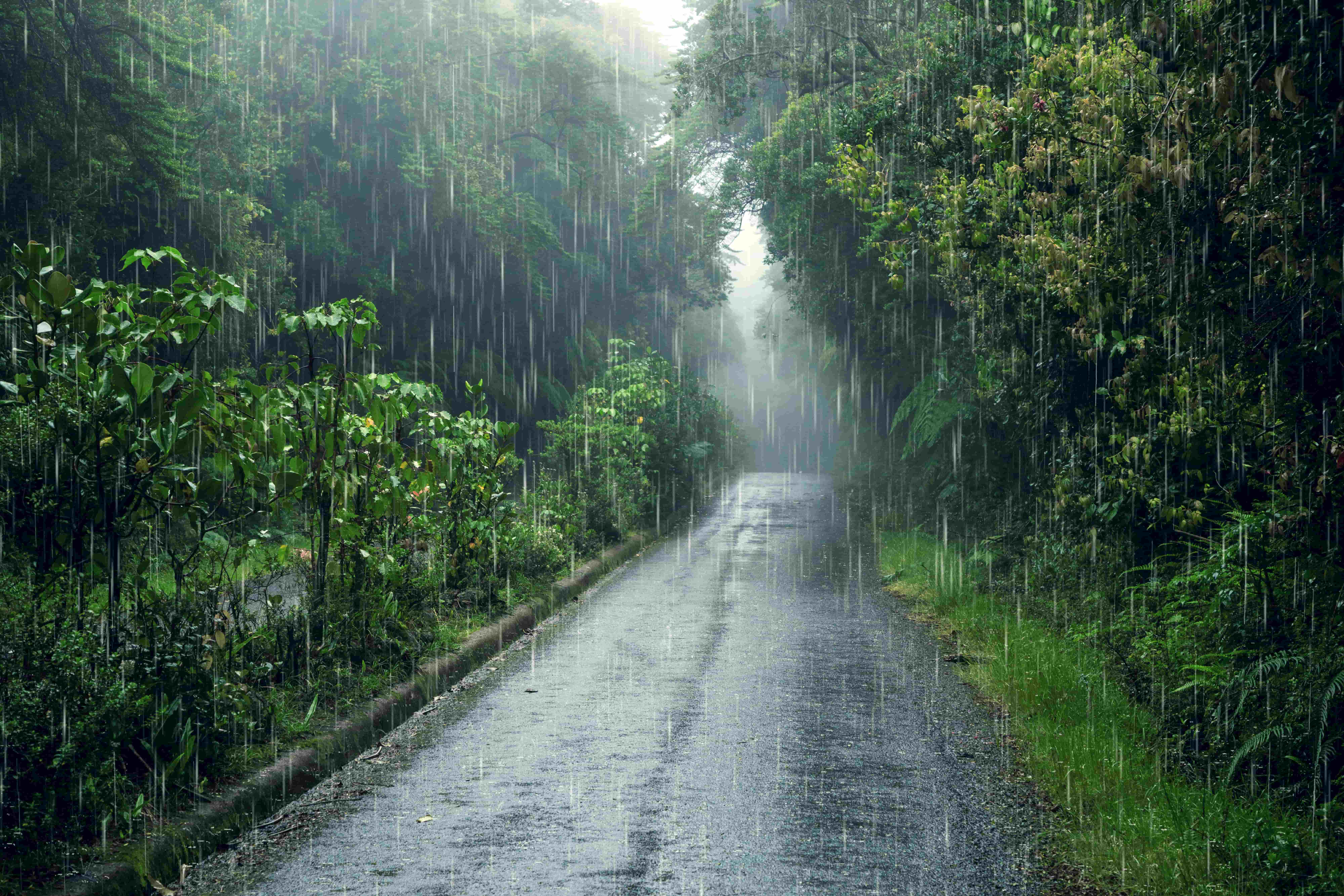 Monsoon Destinations
